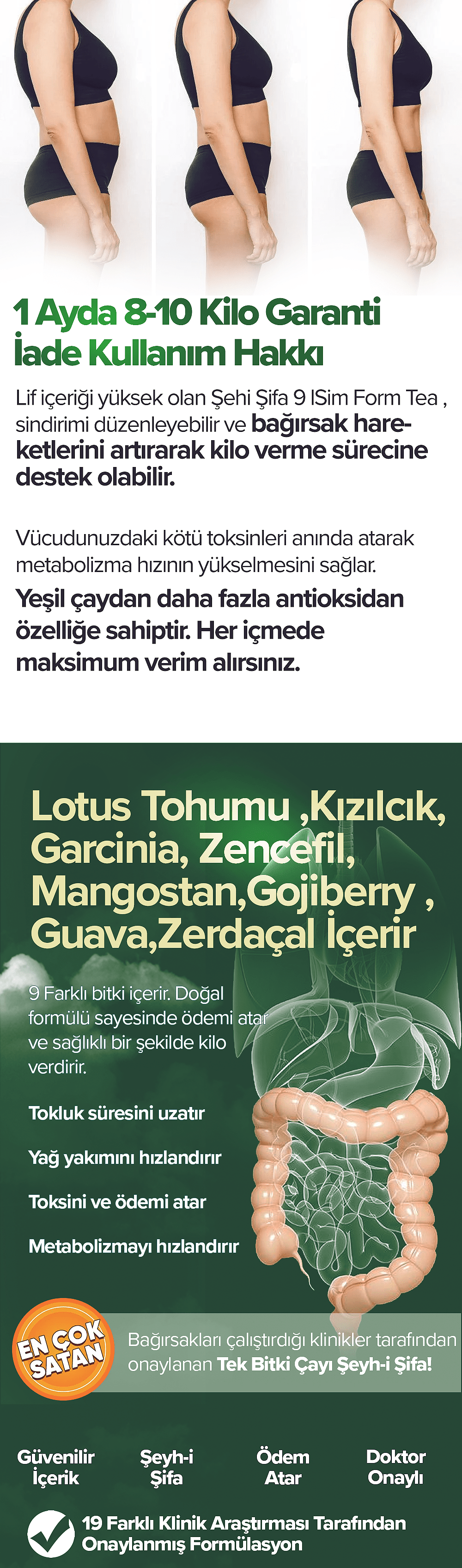 Yeşil Ceviz Kabuğu